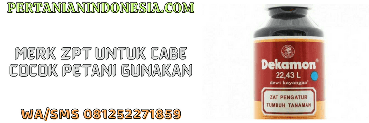 merk,zpt,cabe,zat pengatur tumbuh,cabai